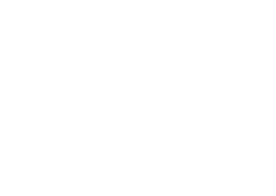 Programa 3+1 UFG ASU